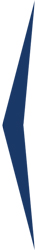 250x36-l.jpg